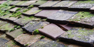 Orpington roof repair costs